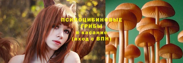 ECSTASY Надым