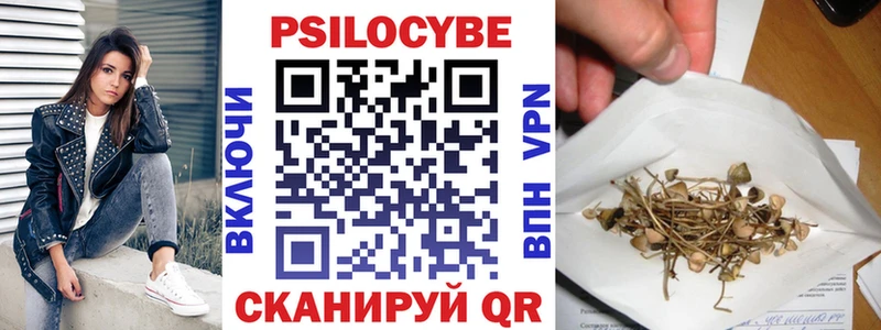 Купить  Плавск  Псилоцибиновые грибы Psilocybe 